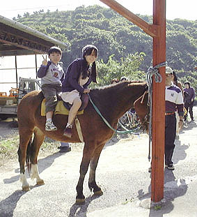 馬に乗ったゼ　拡大写真